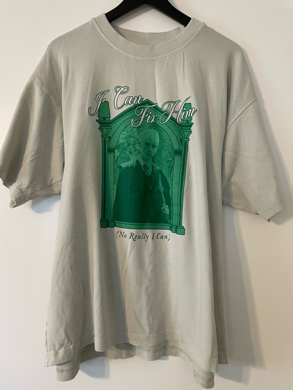 Harry Potter Taylor Swift Graphic T-Shirt